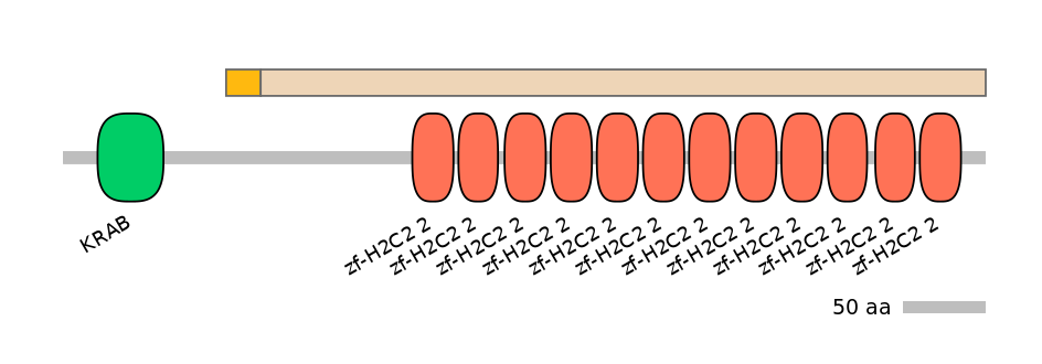 HsaINT0186590-EXC