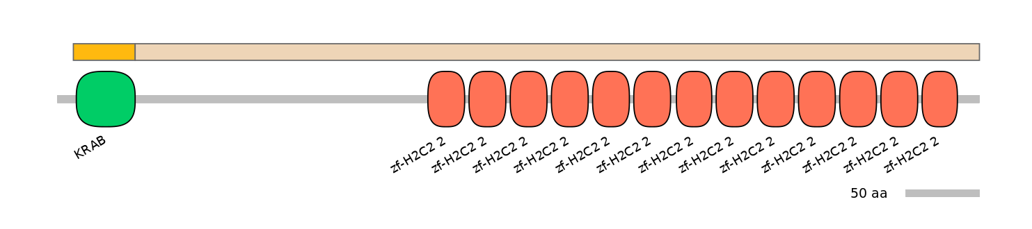 HsaINT0186606-EXC