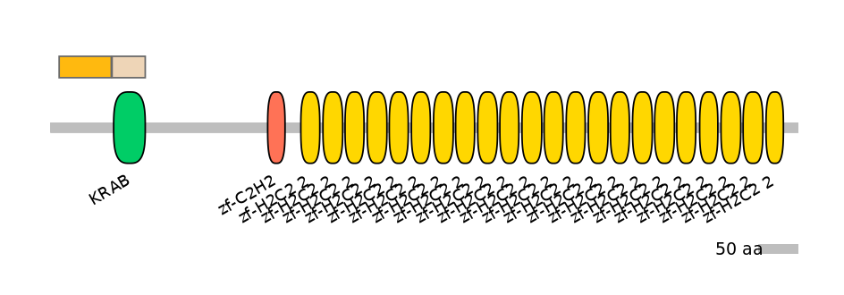 HsaINT0186655-EXC