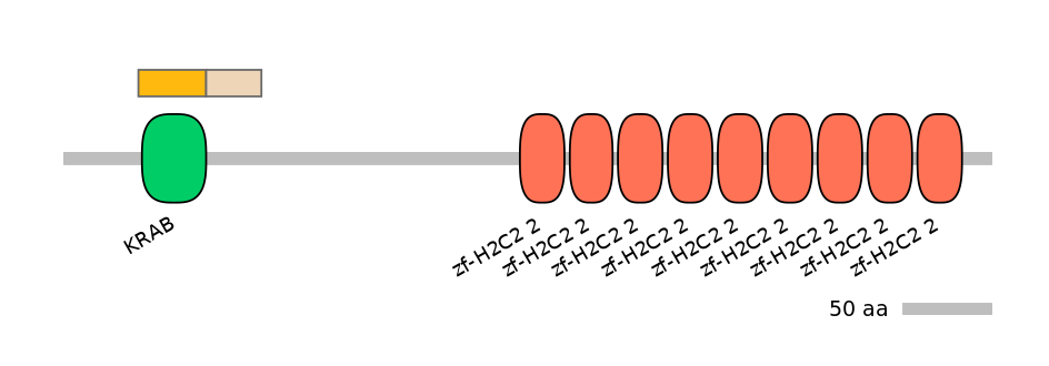 HsaINT0186774-EXC