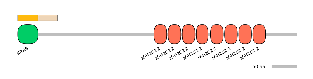 HsaINT0186864-EXC