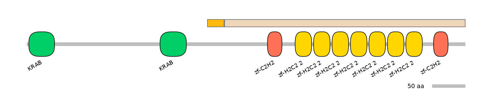 HsaINT0186902-EXC