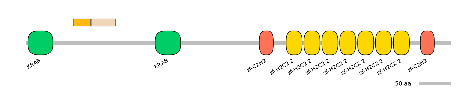 HsaINT0186906-EXC