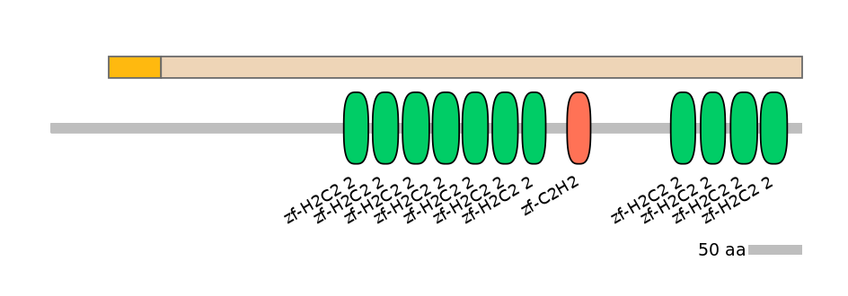 HsaINT0186913-EXC