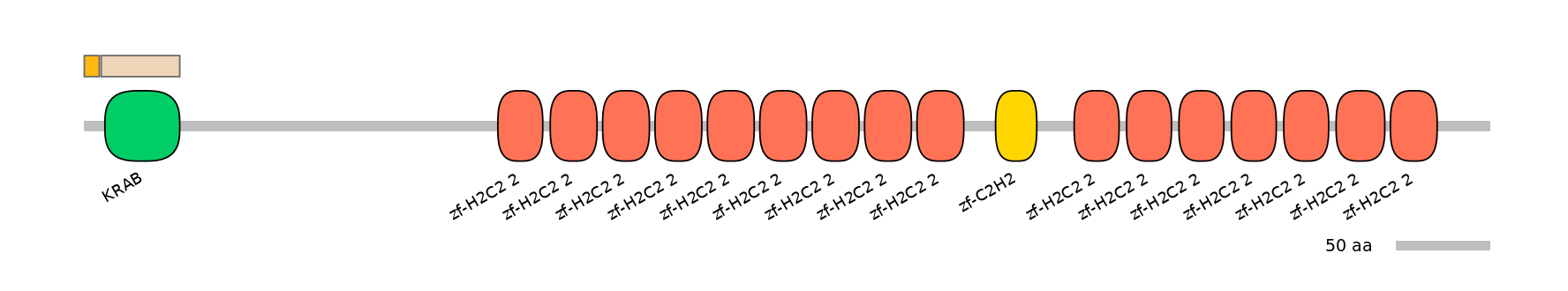 HsaINT0186945-EXC