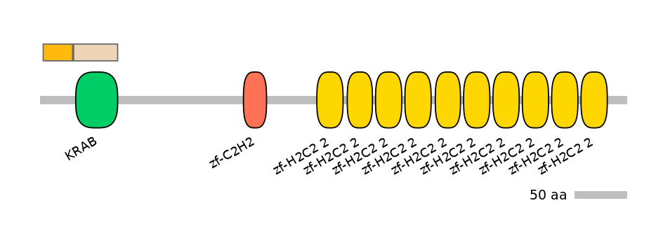 HsaINT0186958-EXC