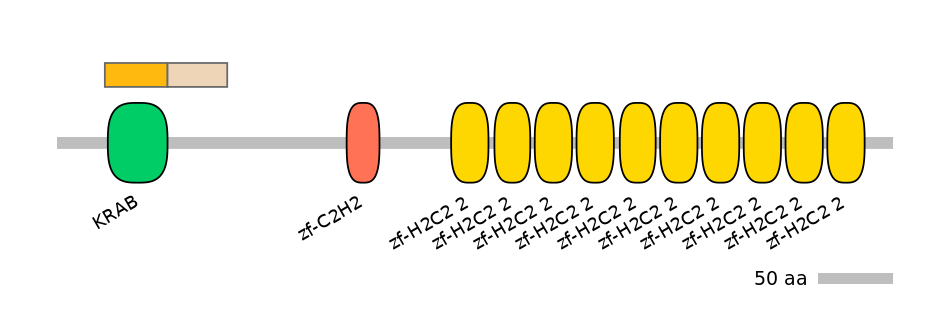 HsaINT0186959-EXC