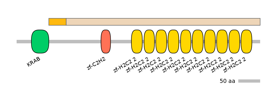 HsaINT0186960-EXC