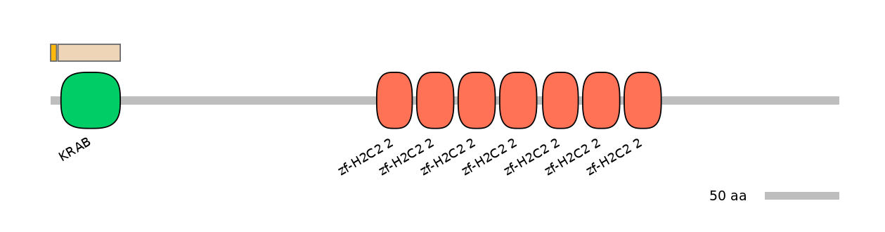 HsaINT0186995-EXC