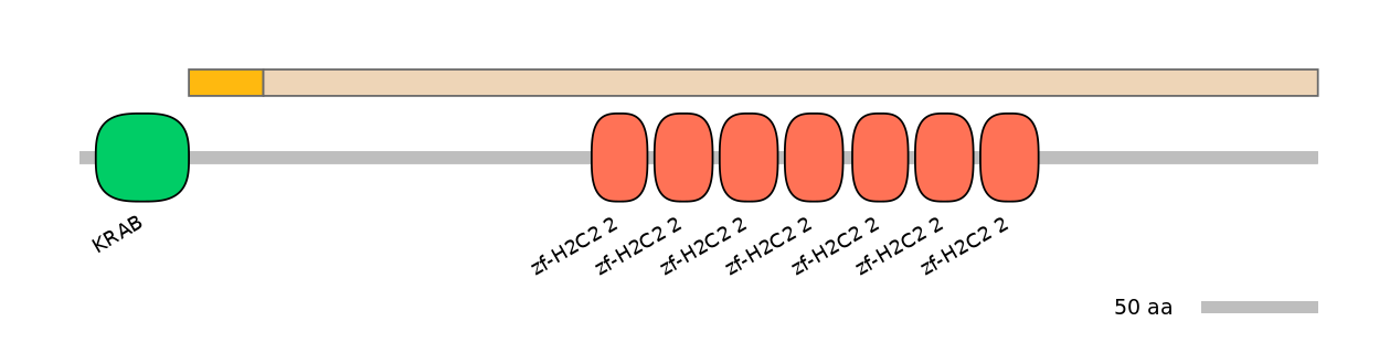 HsaINT0186997-EXC