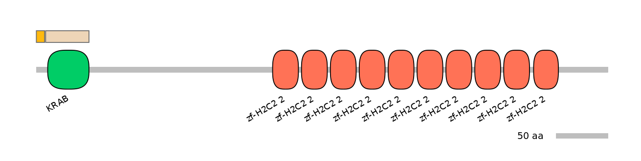 HsaINT0187007-EXC