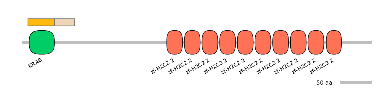 HsaINT0187008-EXC