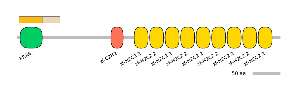 HsaINT0187060-EXC