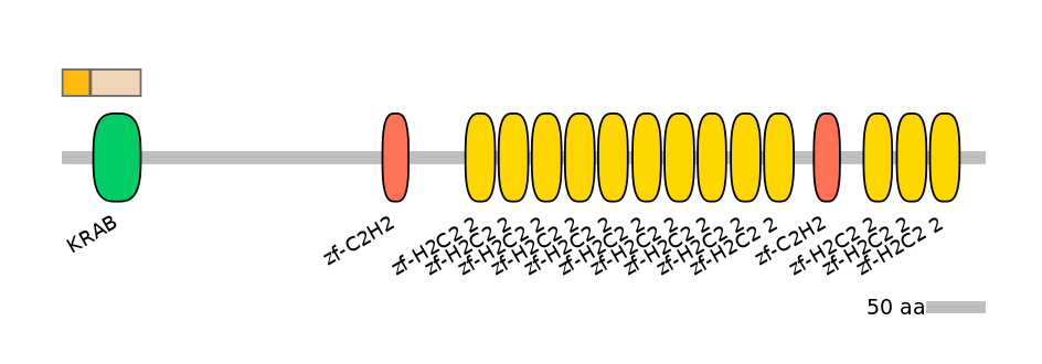 HsaINT0187141-EXC