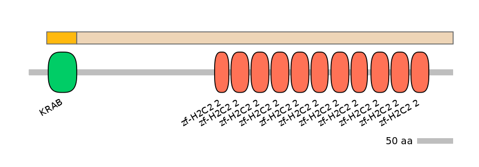 HsaINT0187172-EXC
