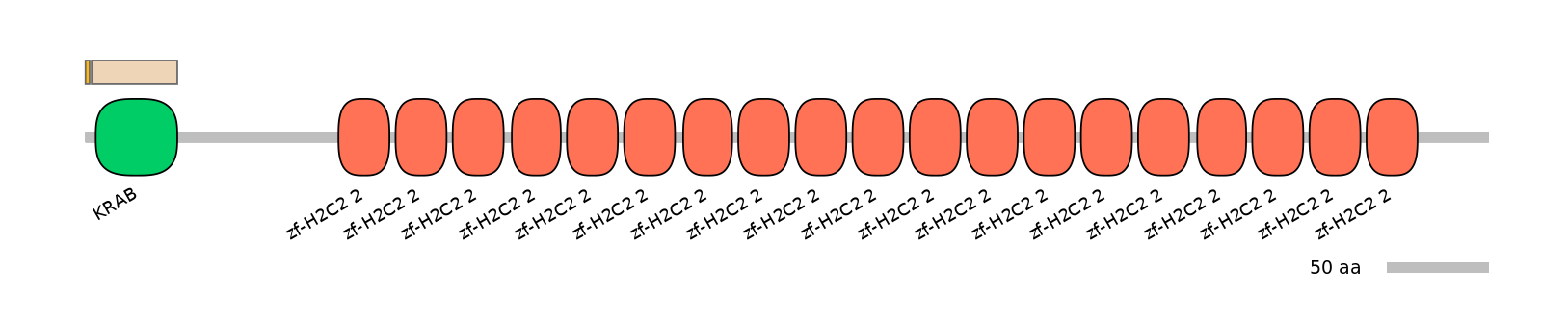 HsaINT0187187-EXC