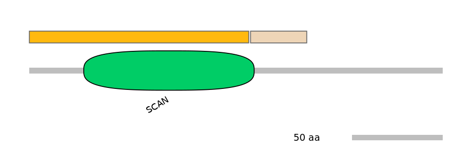 HsaINT0187231-EXC