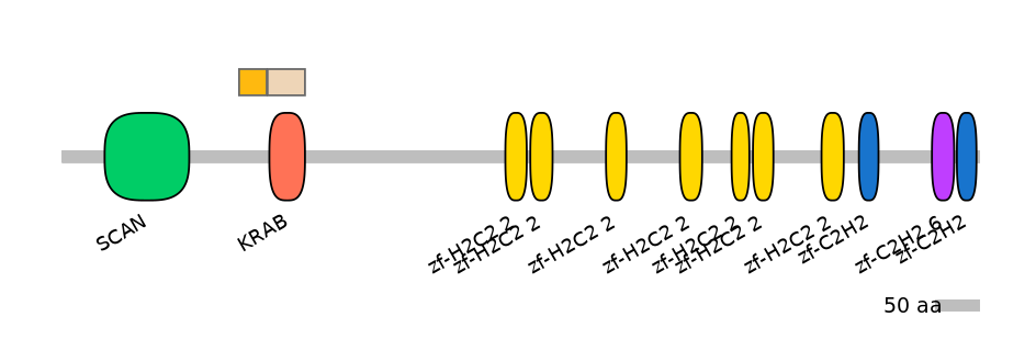 HsaINT0187281-EXC