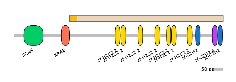 HsaINT0187283-EXC