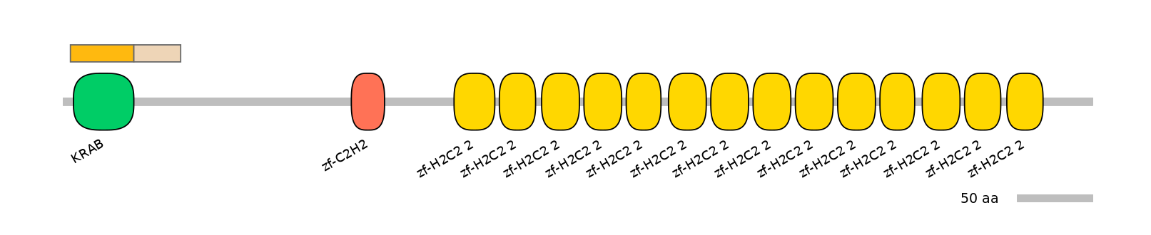 HsaINT0187301-EXC