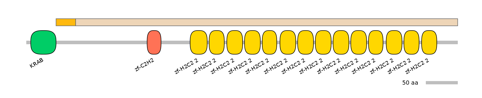 HsaINT0187302-EXC