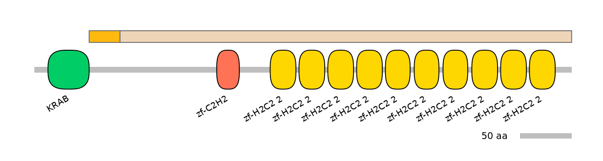 HsaINT0187320-EXC