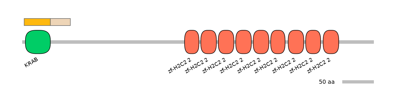 HsaINT0187325-EXC
