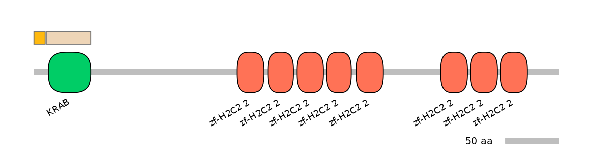 HsaINT0187499-EXC