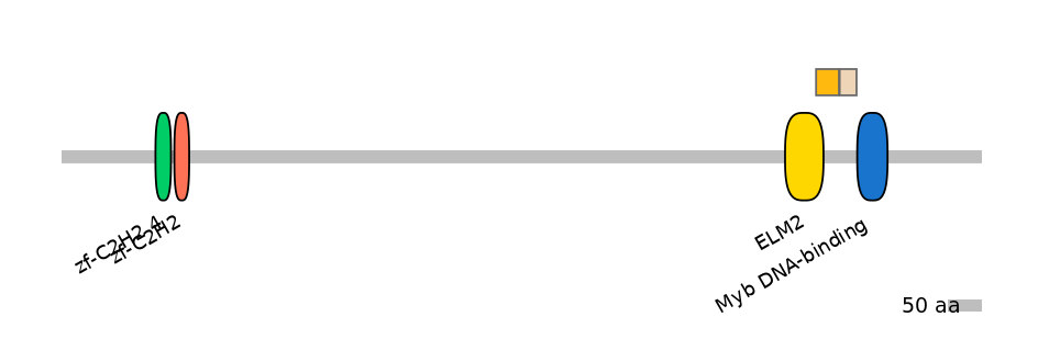 HsaINT0187572-EXC