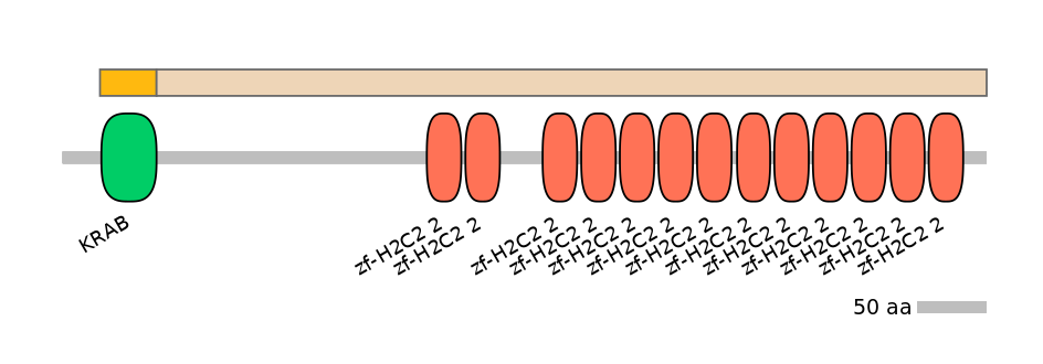 HsaINT0187619-EXC