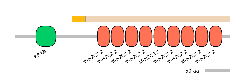 HsaINT0187636-EXC