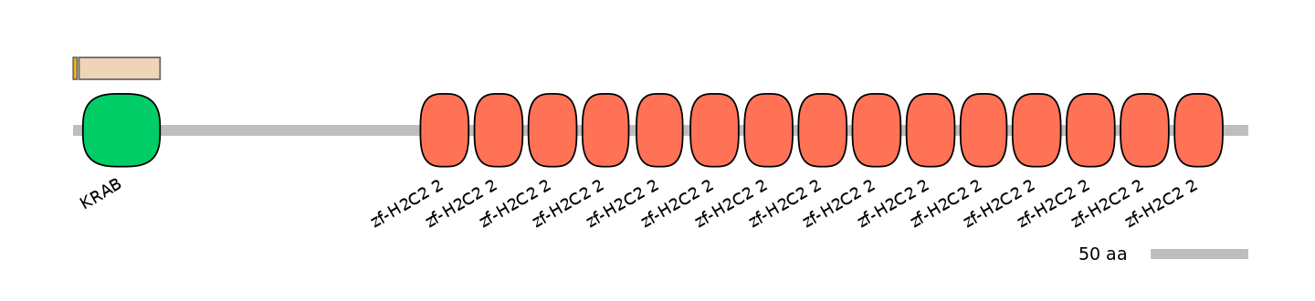 HsaINT0187702-EXC
