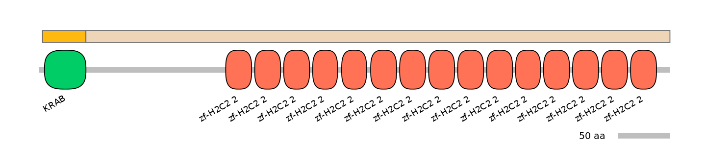 HsaINT0187703-EXC