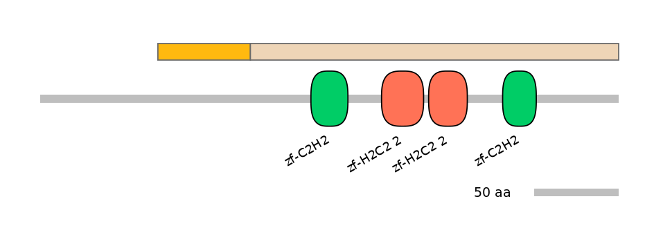 HsaINT0187720-EXC