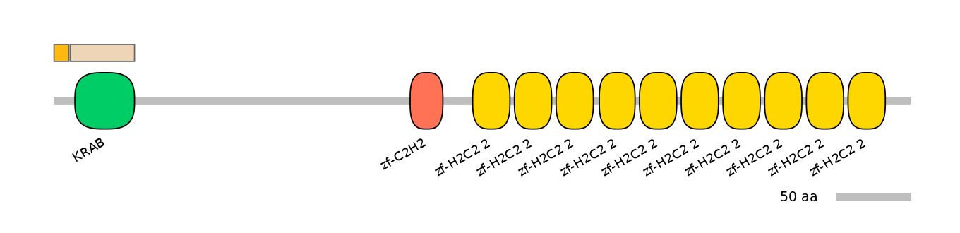 HsaINT0187765-EXC