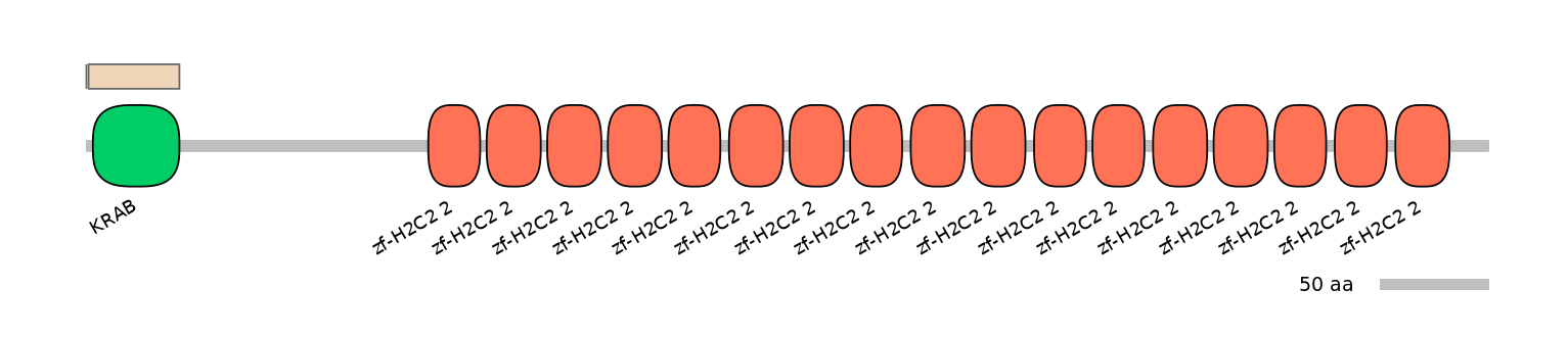 HsaINT0187783-EXC