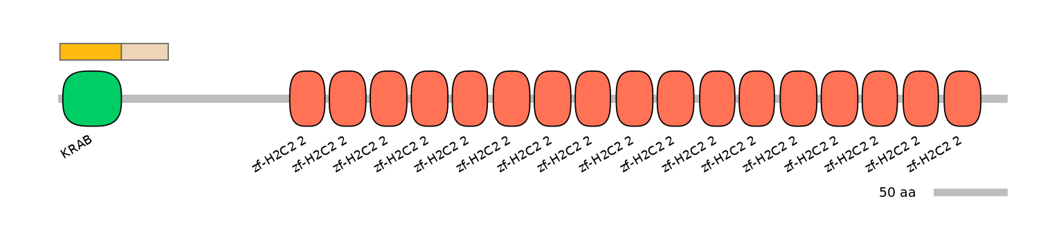 HsaINT0187784-EXC