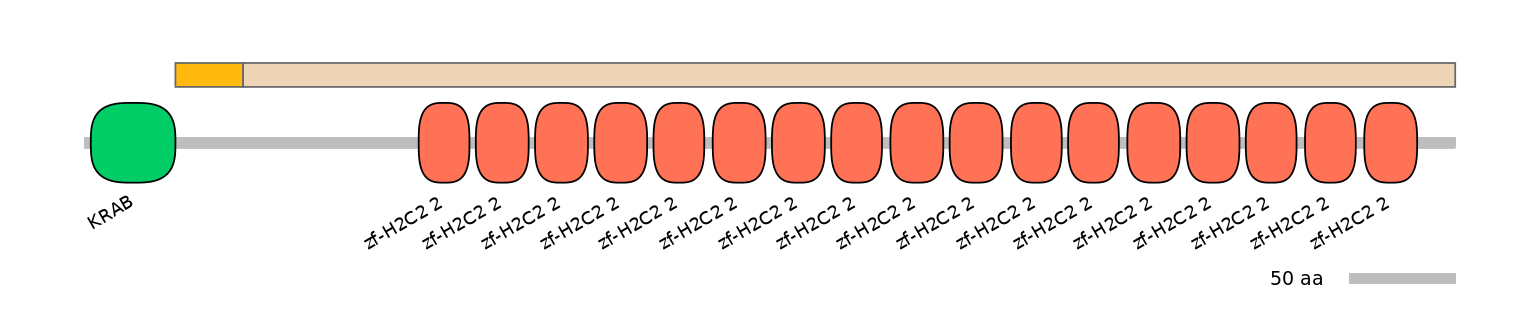 HsaINT0187785-EXC