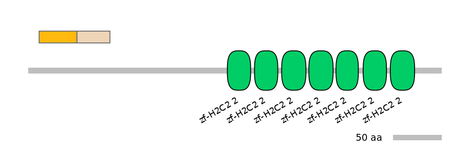 HsaINT0188034-EXC