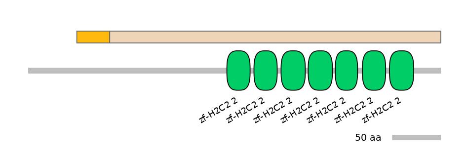 HsaINT0188035-EXC
