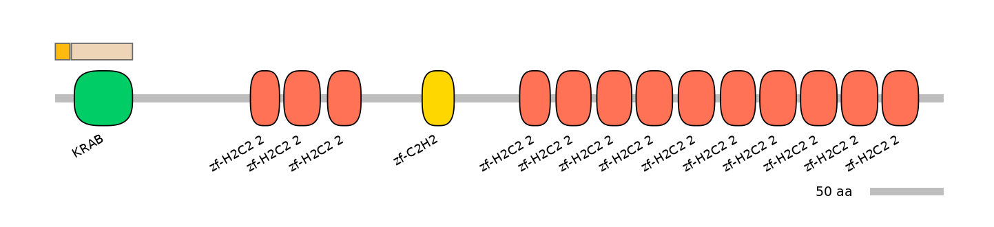 HsaINT0188045-EXC