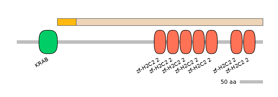 HsaINT0188064-EXC