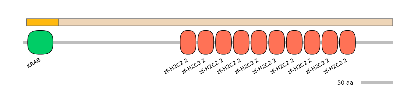 HsaINT0188088-EXC
