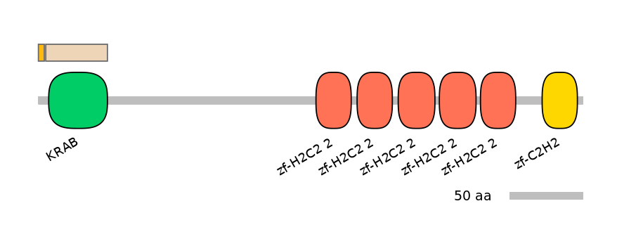 HsaINT0188195-EXC