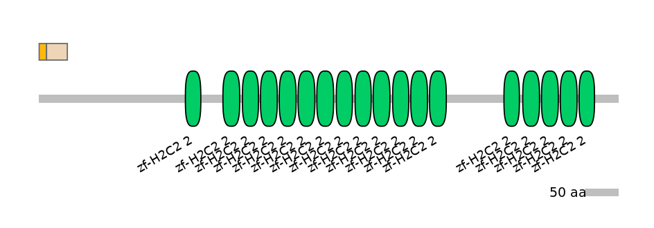 HsaINT0188233-EXC