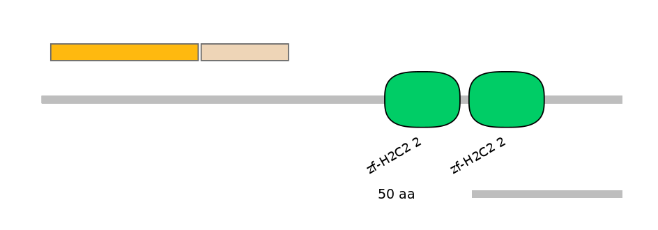 HsaINT0188271-EXC