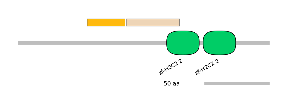 HsaINT0188272-EXC