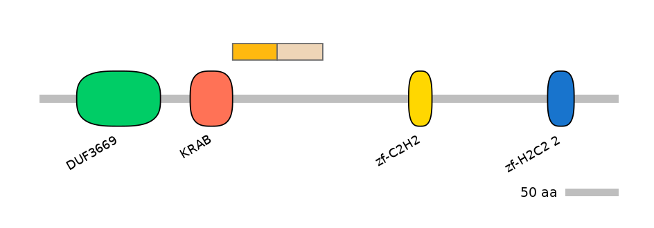 HsaINT0188392-EXC