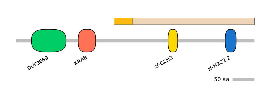 HsaINT0188393-EXC