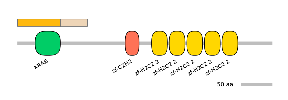 HsaINT0188395-EXC